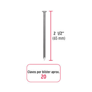 Blister con 20 clavos estandar 2-1/2" con cabeza, Fiero