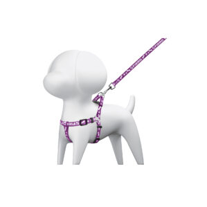 Correa para perro chico con pechera de 1cm ancho