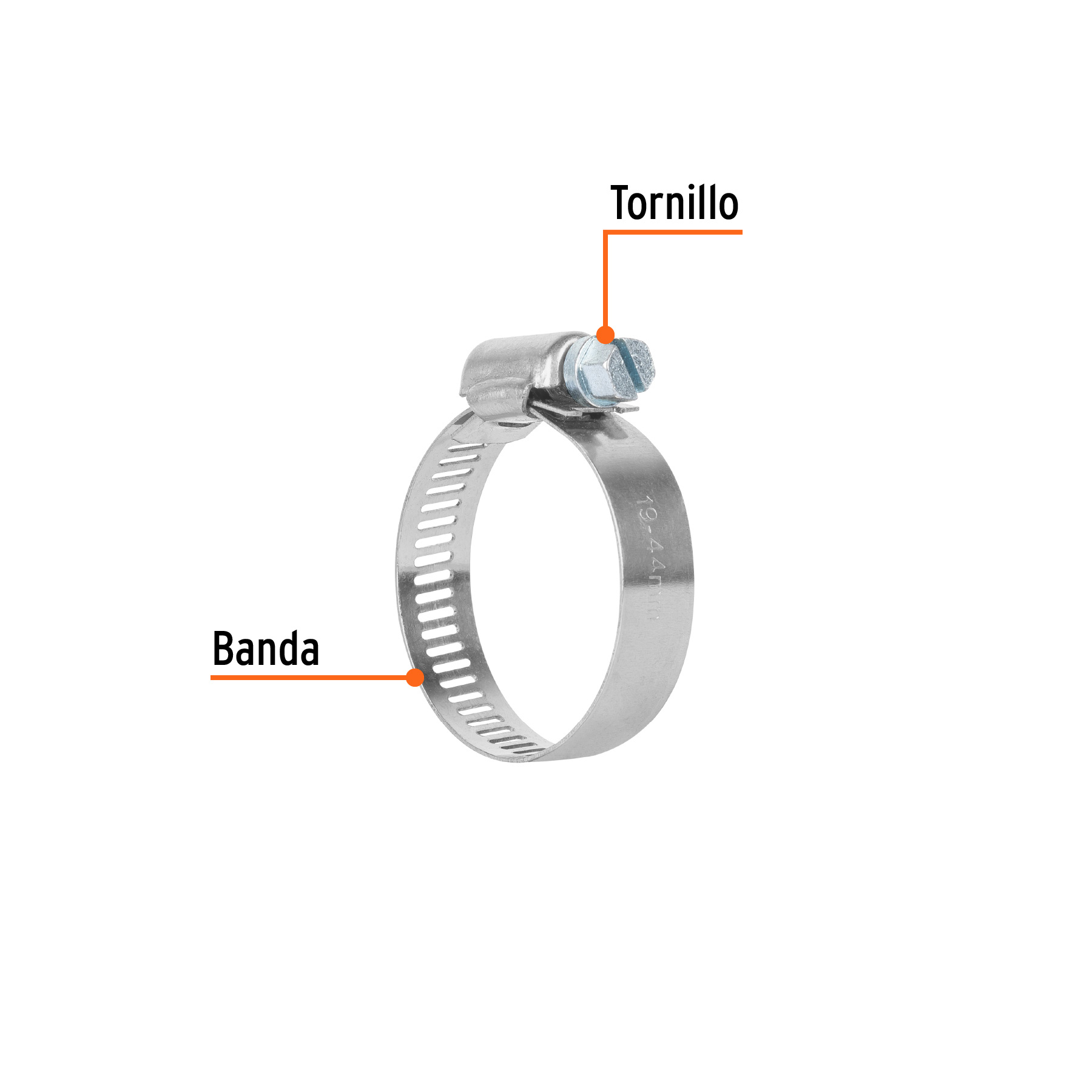 Pack de 2 Abrazadera sin Fin de 3/4" a 1-3/4"