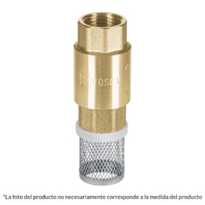 Pichancha tipo check de laton inoxidable 1"