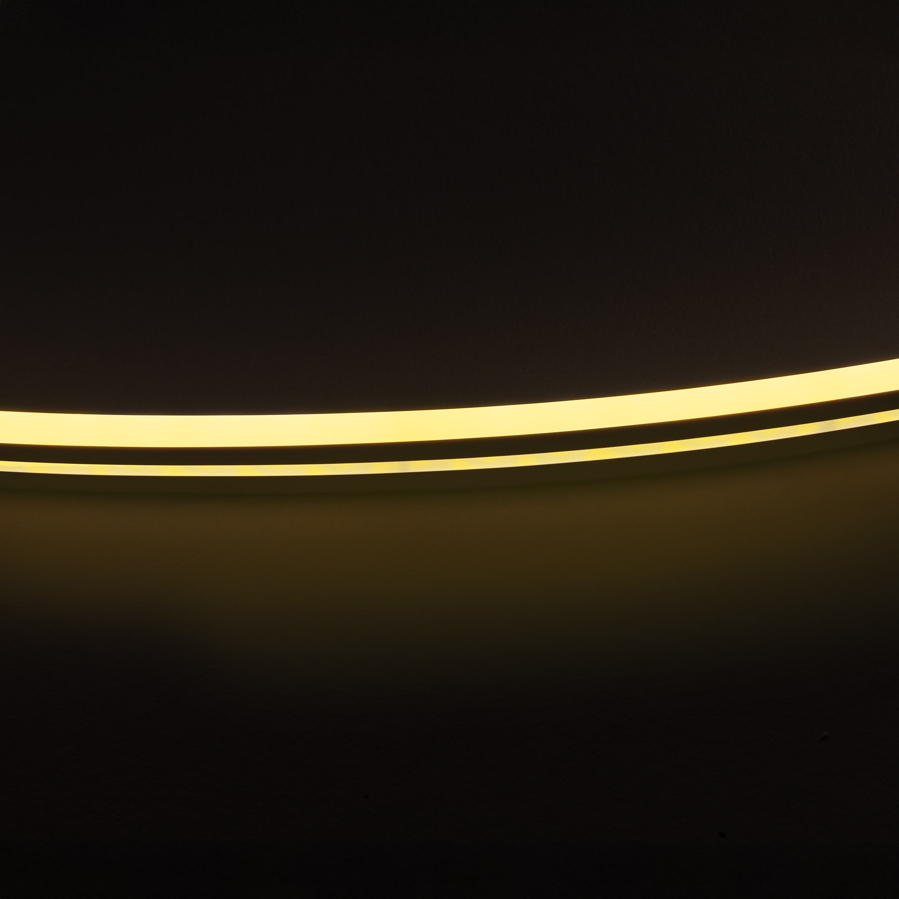 Tira Flexible de LED luz calidad Neon 5m con Eliminador